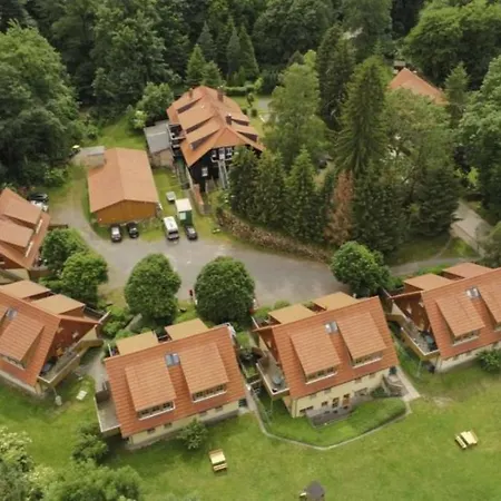 Holiday home Forsthaus Am Brocken, 35 Qm, 1 Wohn-schlafzimmer F1