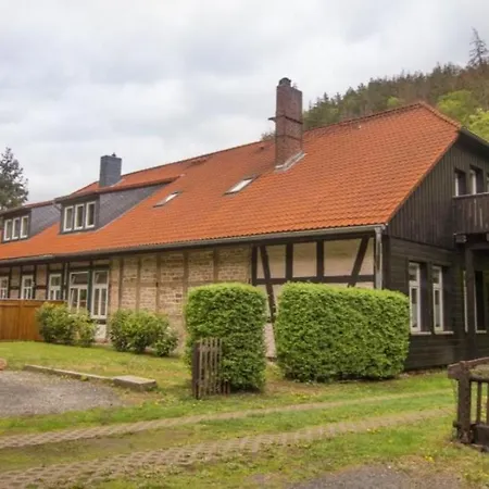 Forsthaus Am Brocken, 35 Qm, 1 Wohn-schlafzimmer F1 *